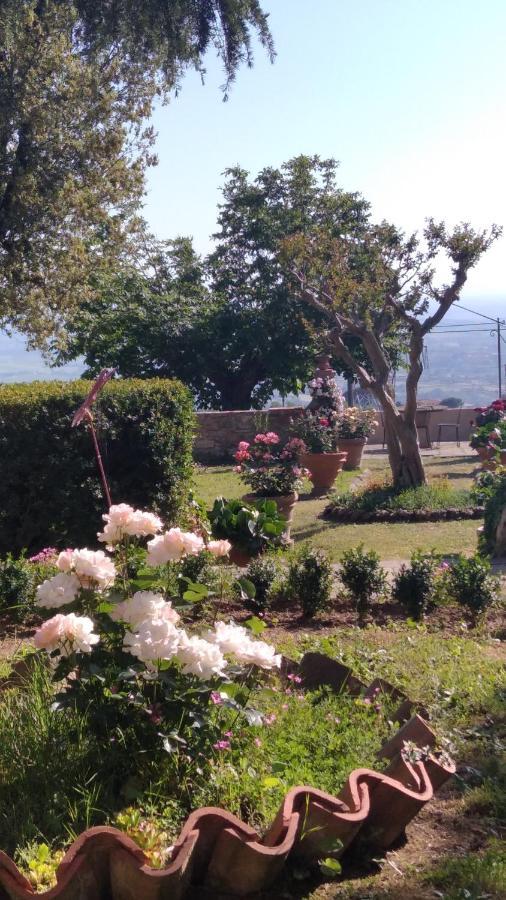 Villa Di Papiano San Baronto Dış mekan fotoğraf